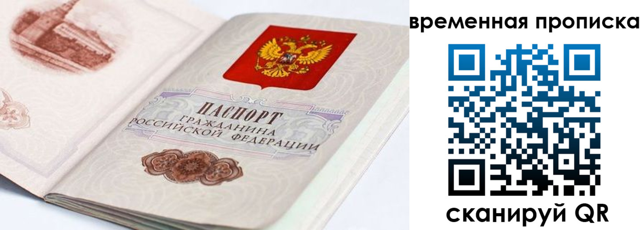 прописка 2025 в Соколе